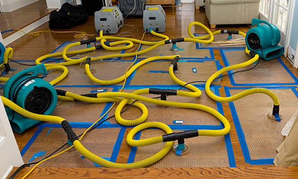 Professional Burst Pipe Water Damage technician working in Hawi, HI